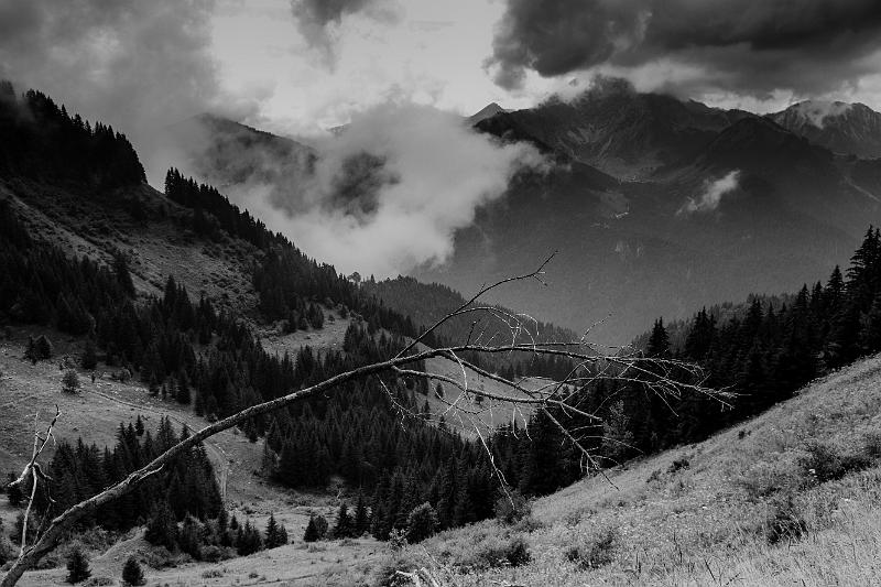 2020_08_14 (0020).jpg - Roc et lac de la Tavaneuse (aout 2020)